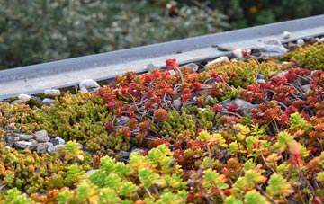 the cost of Little Altcar green roof installation