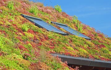 Little Altcar living roof systems